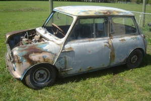 mini-137