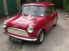 Cherry Red Morris